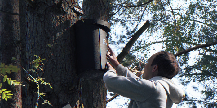 Dr. Christian Voigt conducting fieldwork at wind energy sites in Brandenburg forests, Germany
