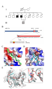 The interaction between APP fragment and BACE1 in MD simulations.