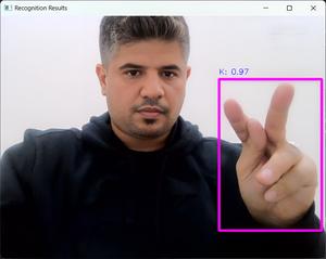 American Sign Language and AI