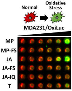 OxiLuc assay