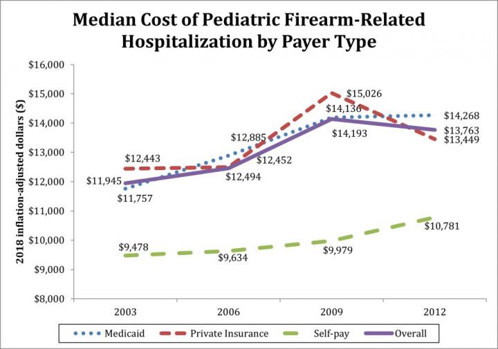 U.S. children pay high price for gun violence