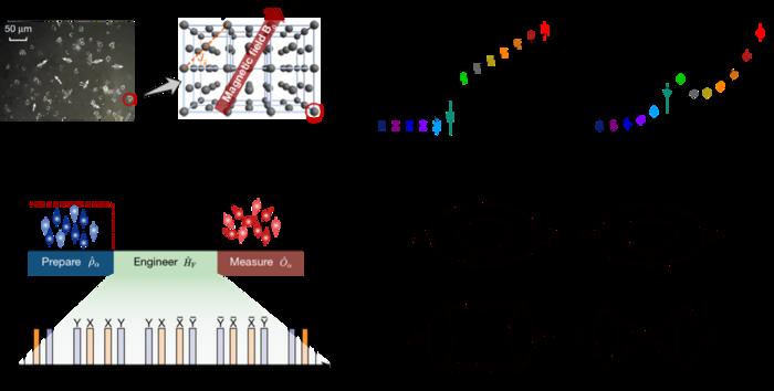 Emergent universal quench dynamics in randomly interacting spin models