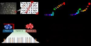 Emergent universal quench dynamics in randomly interacting spin models