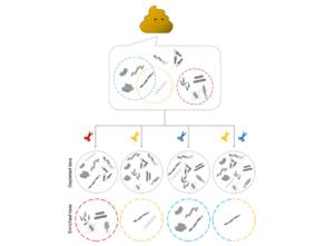 mEnrich-seq Method