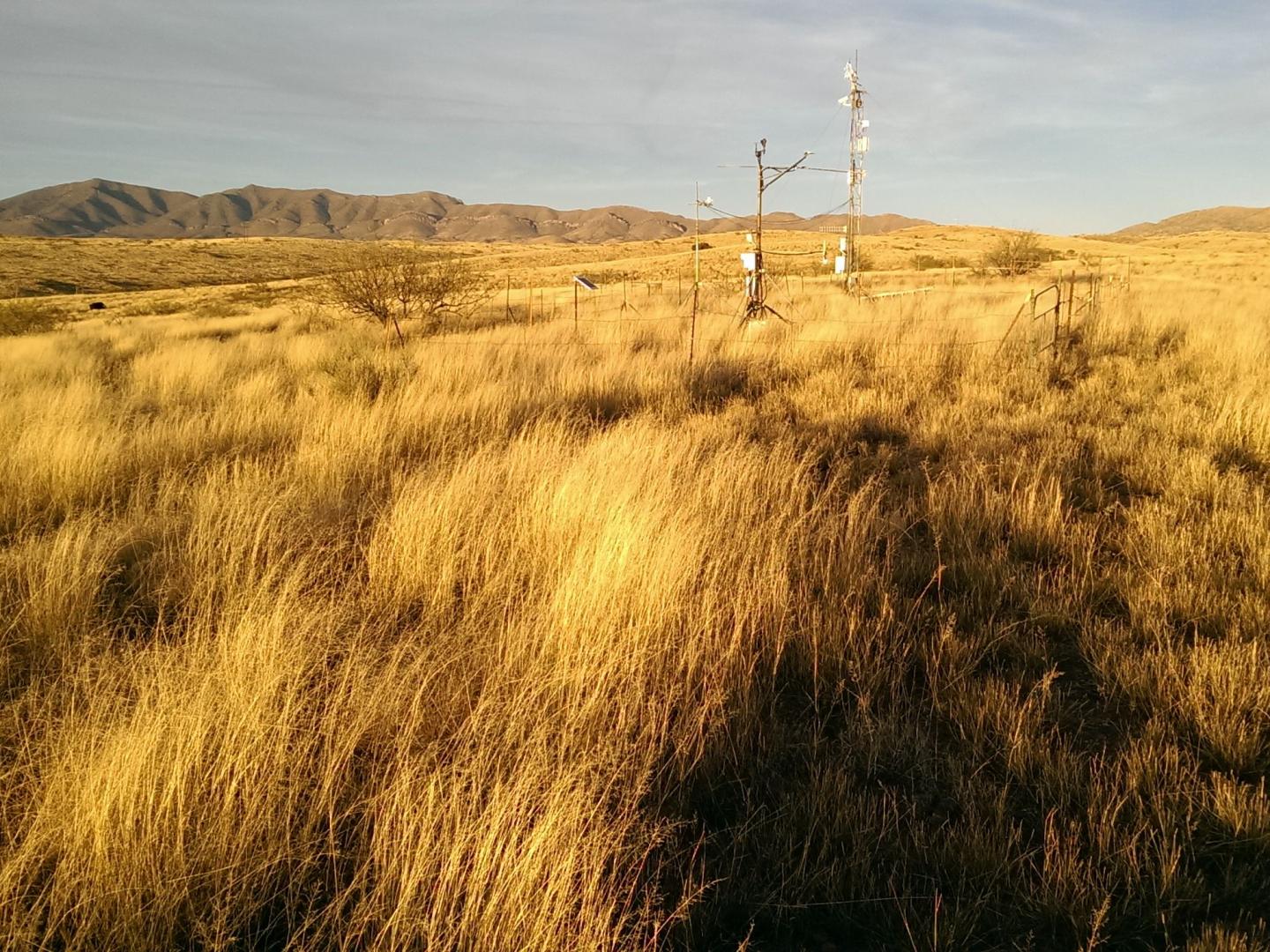 Drought in the US 2012