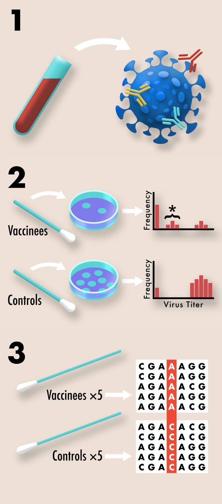 Vaccine resistance