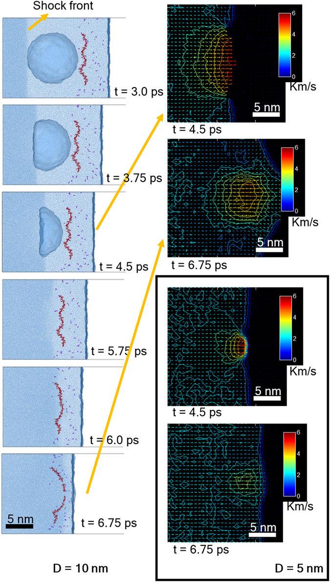 Cavitation-Collapse Triggered by Shock