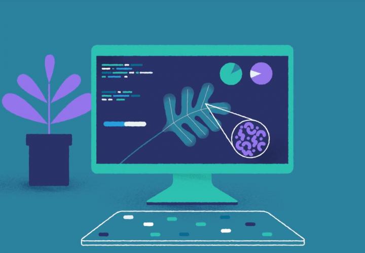 Decoding the Immune System of Plants to Fend-off Pests and Disease