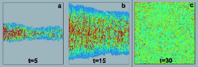 Results of MD Simulations