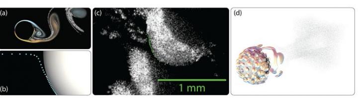 Harvesting Fog Can Provide Fresh Water in Desert Regions