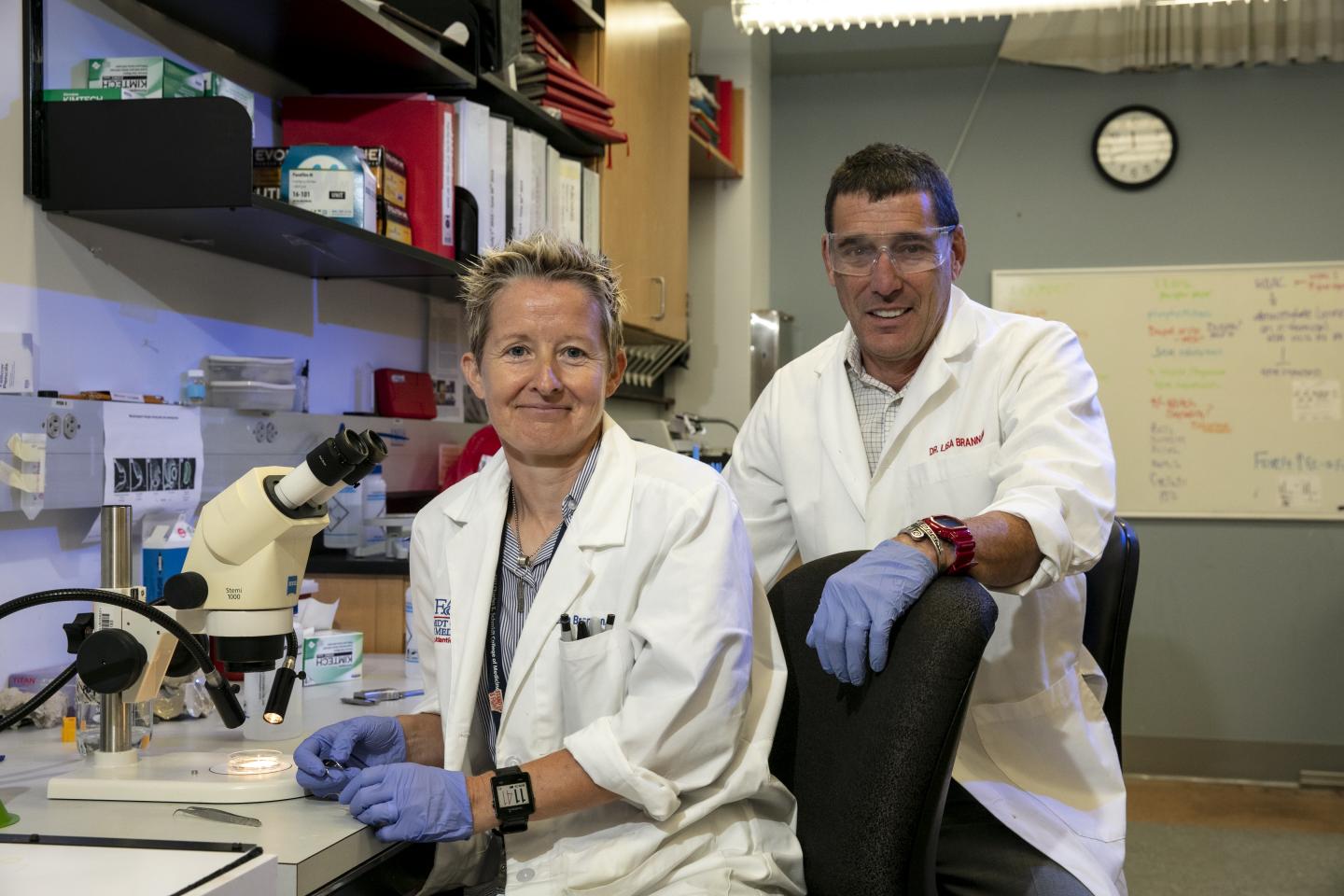 Scientists Will Analyze Stem Cell  Activation with a Focus on Age-related and Degenerative Diseases