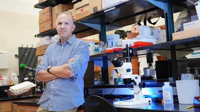 Purdue University's Tomas Höök