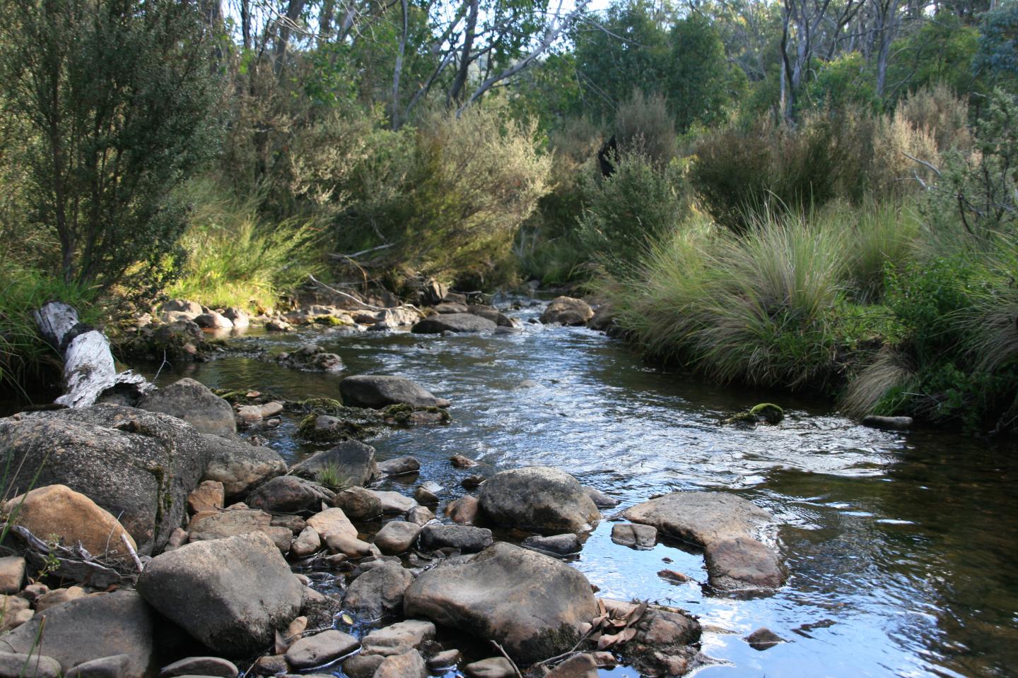 La Trobe University