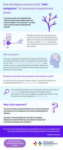 Infographic dendritic domains