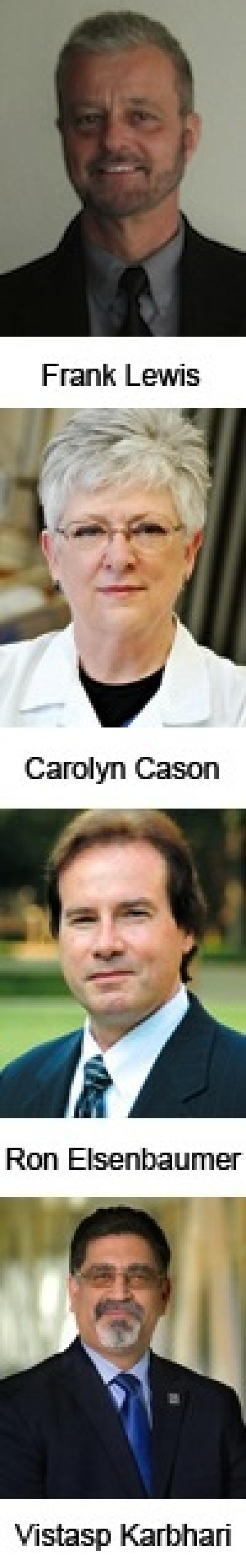 2013 UT Arlington NAI Fellows