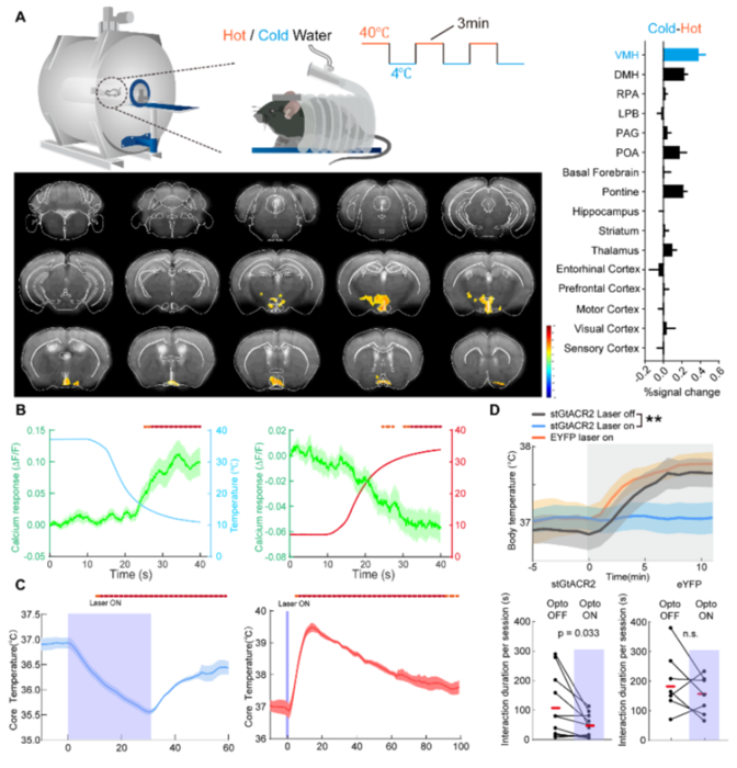 Thermal challenge tests