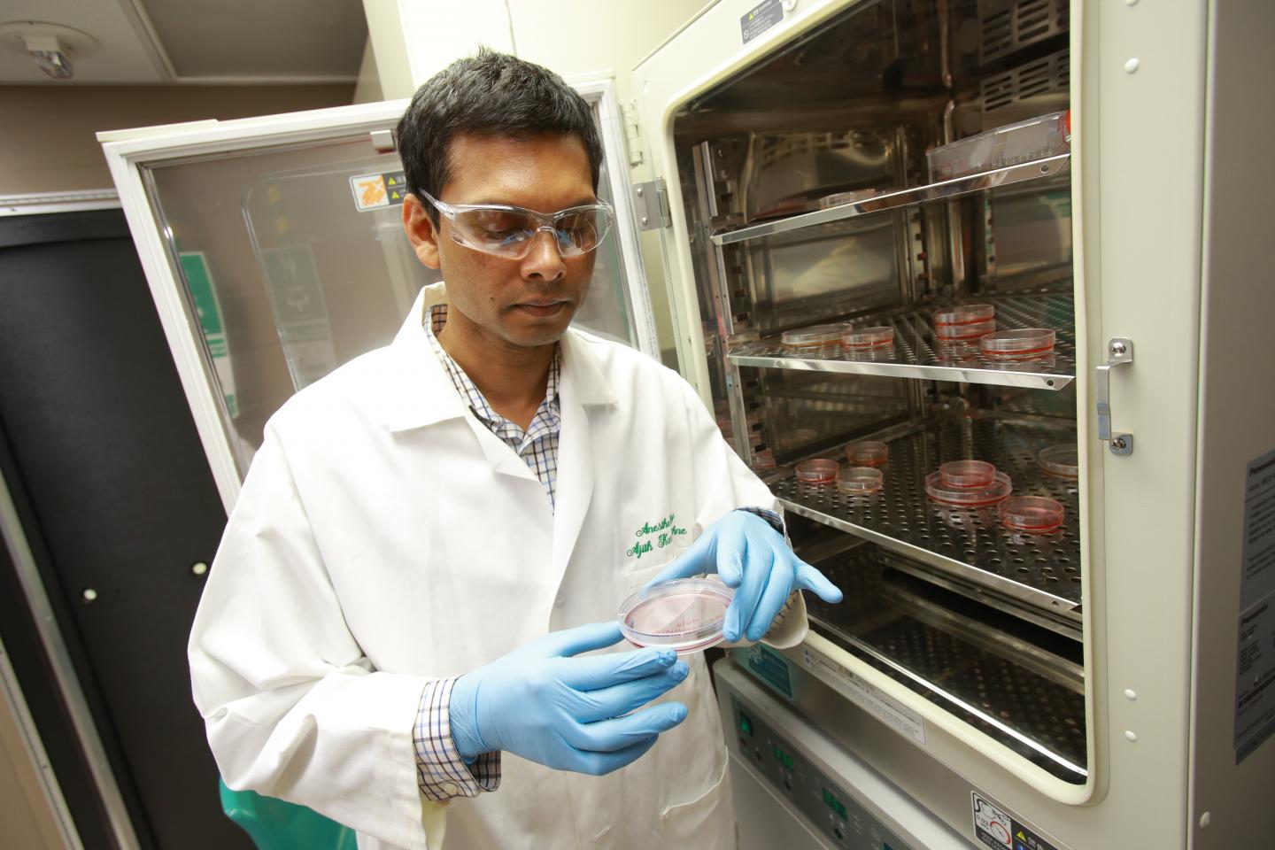 Dr. Ajith Karunarathne