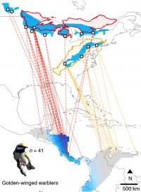Migration Route Map