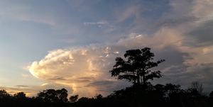 Late afternoon storm