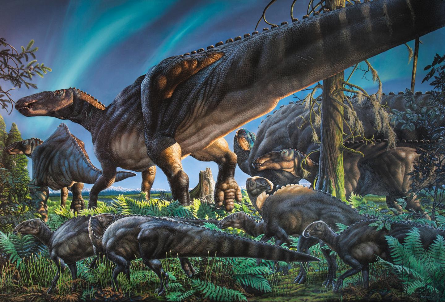 New hadrosaur species discovered on Alaska's | EurekAlert!