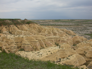 Cretaceous Limestone