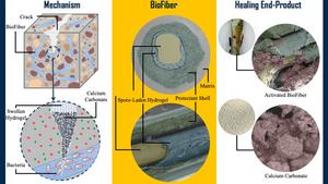 BioFiber bacteria-enabled self-healing concrete system