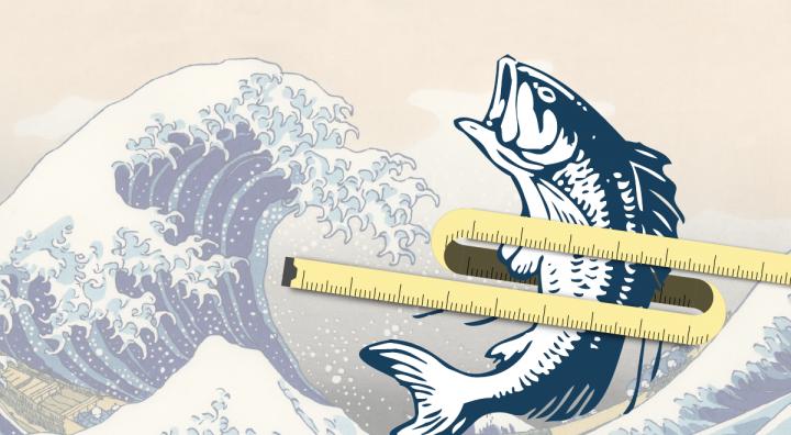 Kyoto University Shows How Fish Oil Can Improve Fat Metabolism