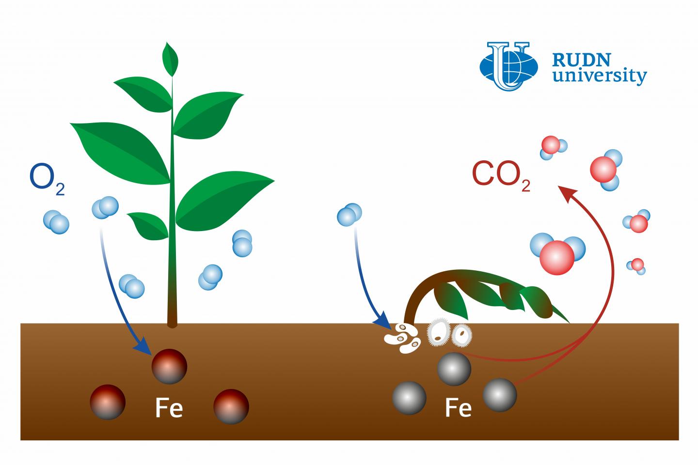 Появление углекислого газа. Углекислый ГАЗ В почве. Утечки газа из почвы. Круговорот углекислого газа. Бактерии поставляют в атмосферу кислород.