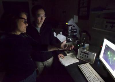 Tayhas Palmore and Kwang-Min Kim, Brown University