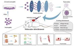 Graphical Abstract