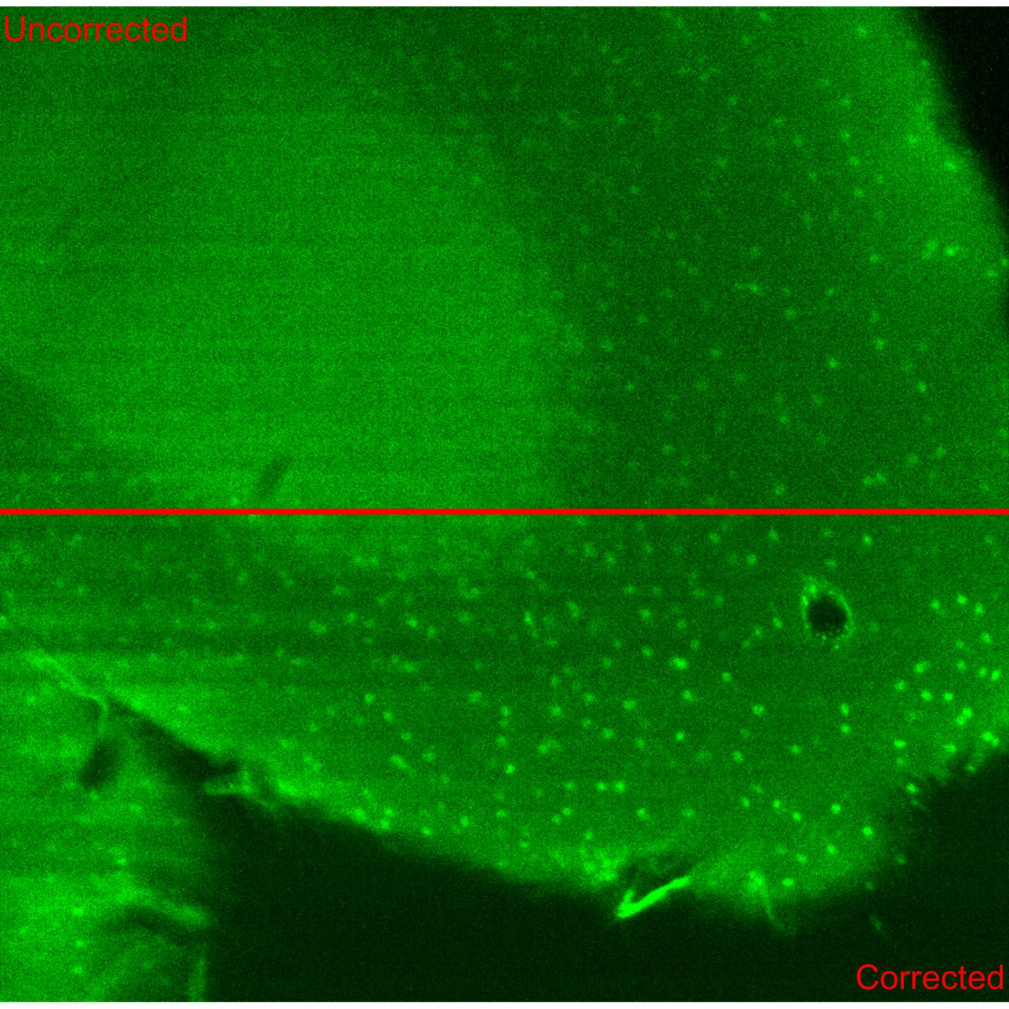 Adaptive Lens Correction