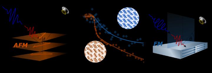 Sketch of the Experiment