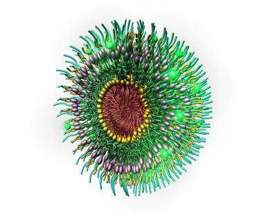 Multifunctional Micelle