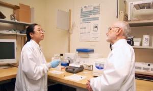 Andrew Steckl and Hua Li, University of Cincinnati