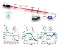 Figure | Demonstration of all-in-one APCD metasurfaces acting on unpolarized incident light