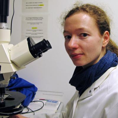 Dorothea Gilbert, Aarhus University