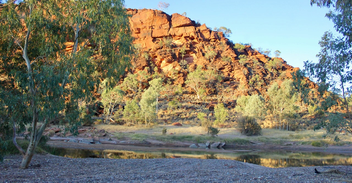 River in Central Australia with Desert fish species