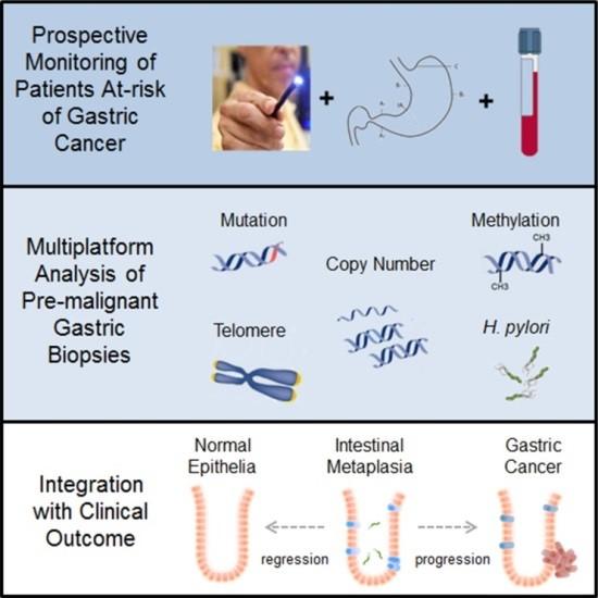 Graphical Summary of Study