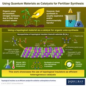 Using Quantum Materials as Catalysts for Fertilizer Synthesis