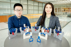 Illinois researchers Weichen Li, left, and professor Shelly Zhang