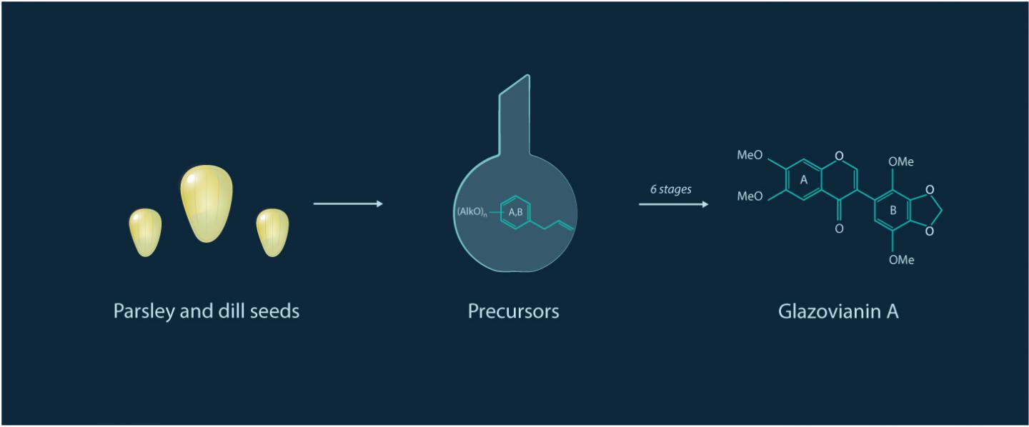 Synthesis of Glaziovianin A