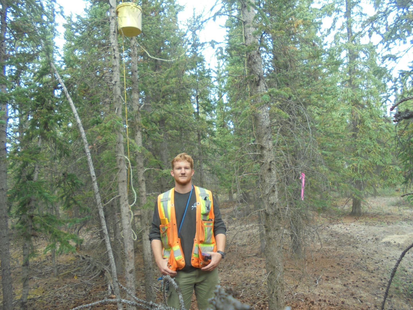 David Fisher, McmAster University