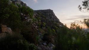 Fynbos Botanist