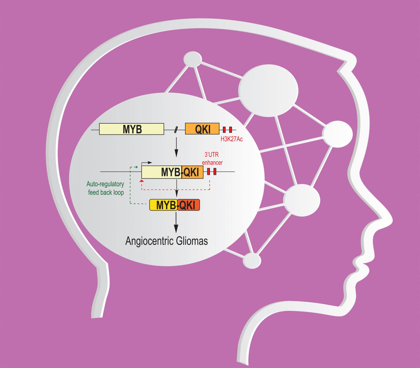 Gene- Fusion Mutation