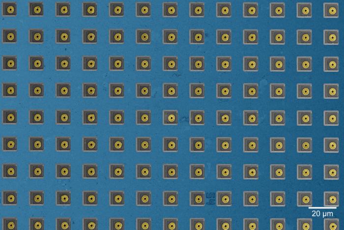 microhole electrode array