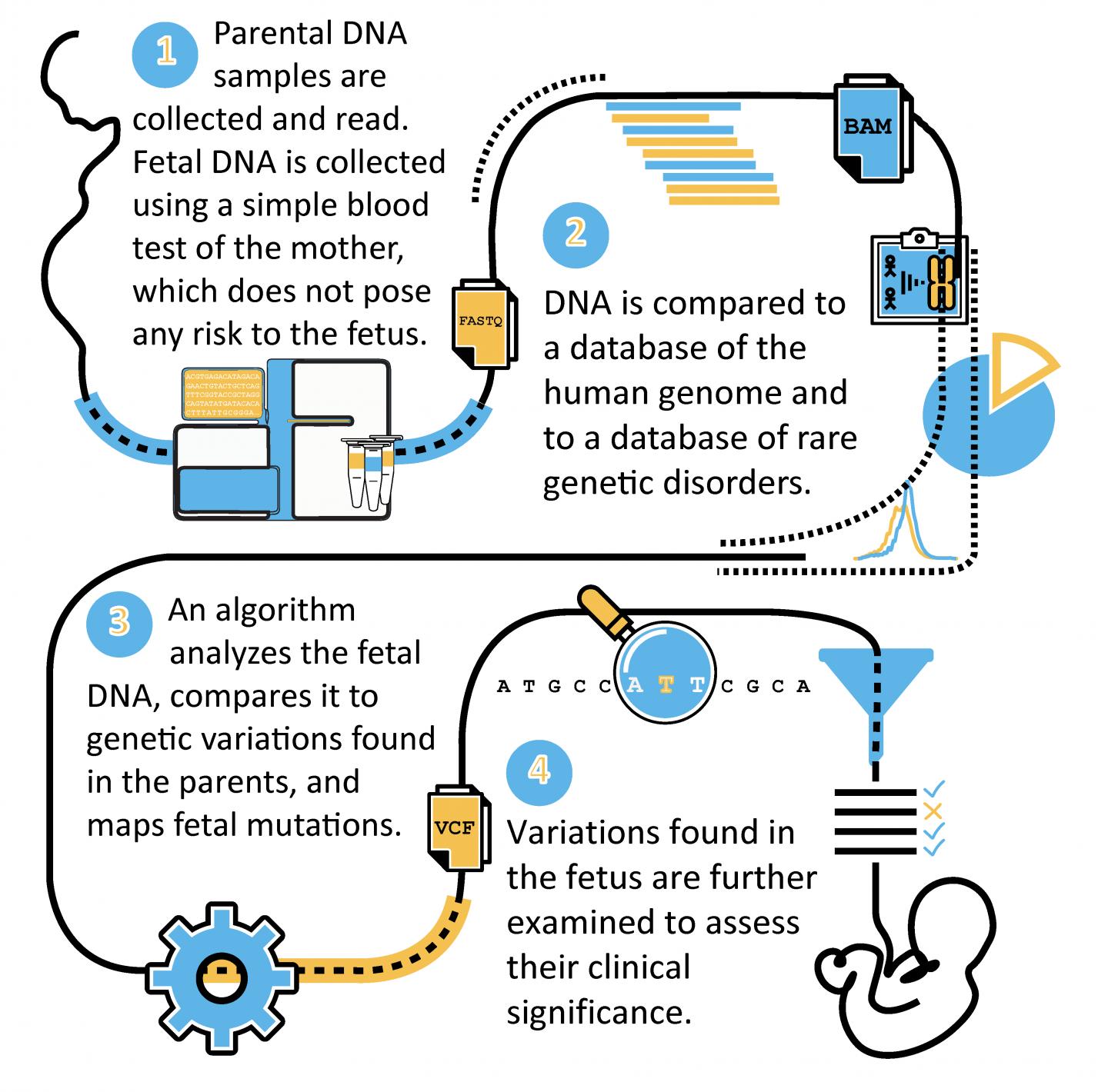 Schematic of Genome Map Technology