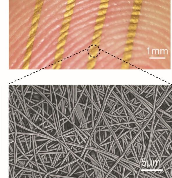 Nanomesh Conductors Conform to Contours of Skin Surface