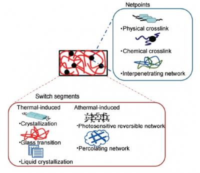 Schematic Presentation