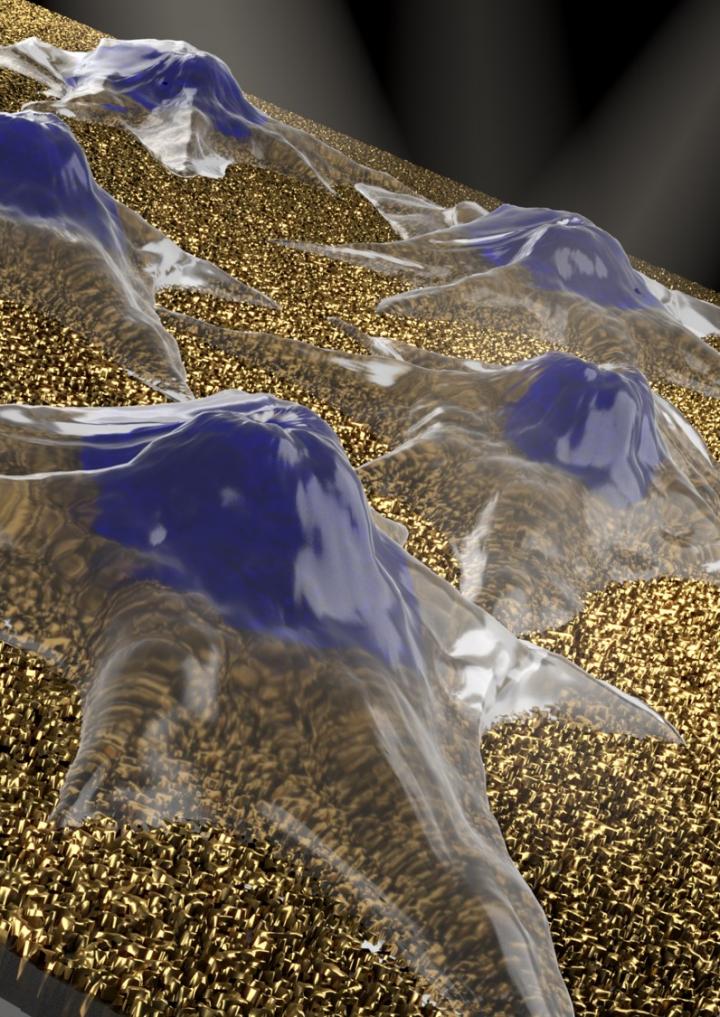 Nanomushroom Biosensors (Illustration)