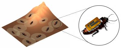 Researchers Can Use Swarm of Insect Cyborgs to Map Unknown Areas